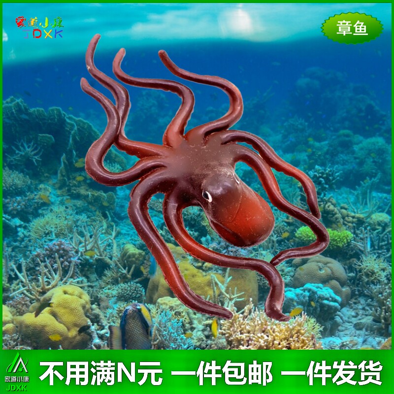 软胶仿真小八爪鱼幼儿园儿童认知过家家玩具静态海洋动物章鱼模型