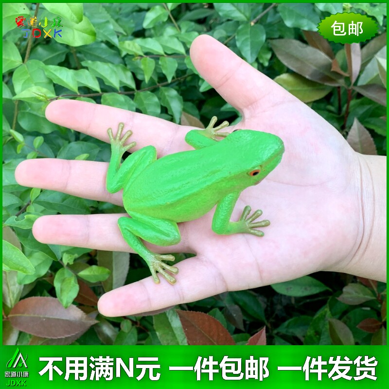 彩色青蛙蛤蟆塑胶玩具模型包邮