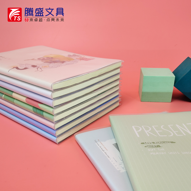 清新卡通腾盛防水PVC加厚胶套本