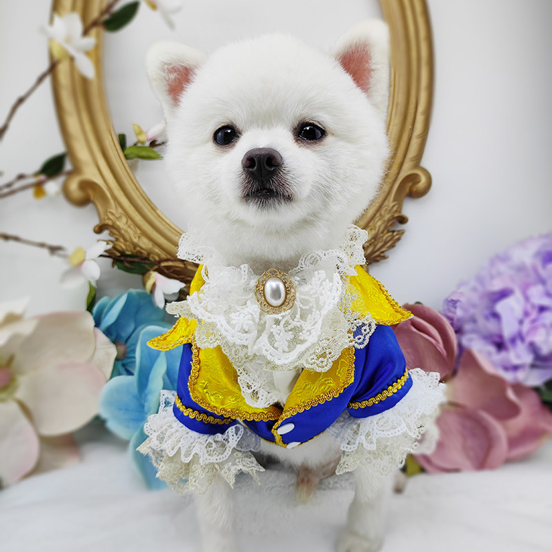 私宠手作宠物狗公狗西装cos美女与野兽泰迪比熊博美猫咪西服礼服