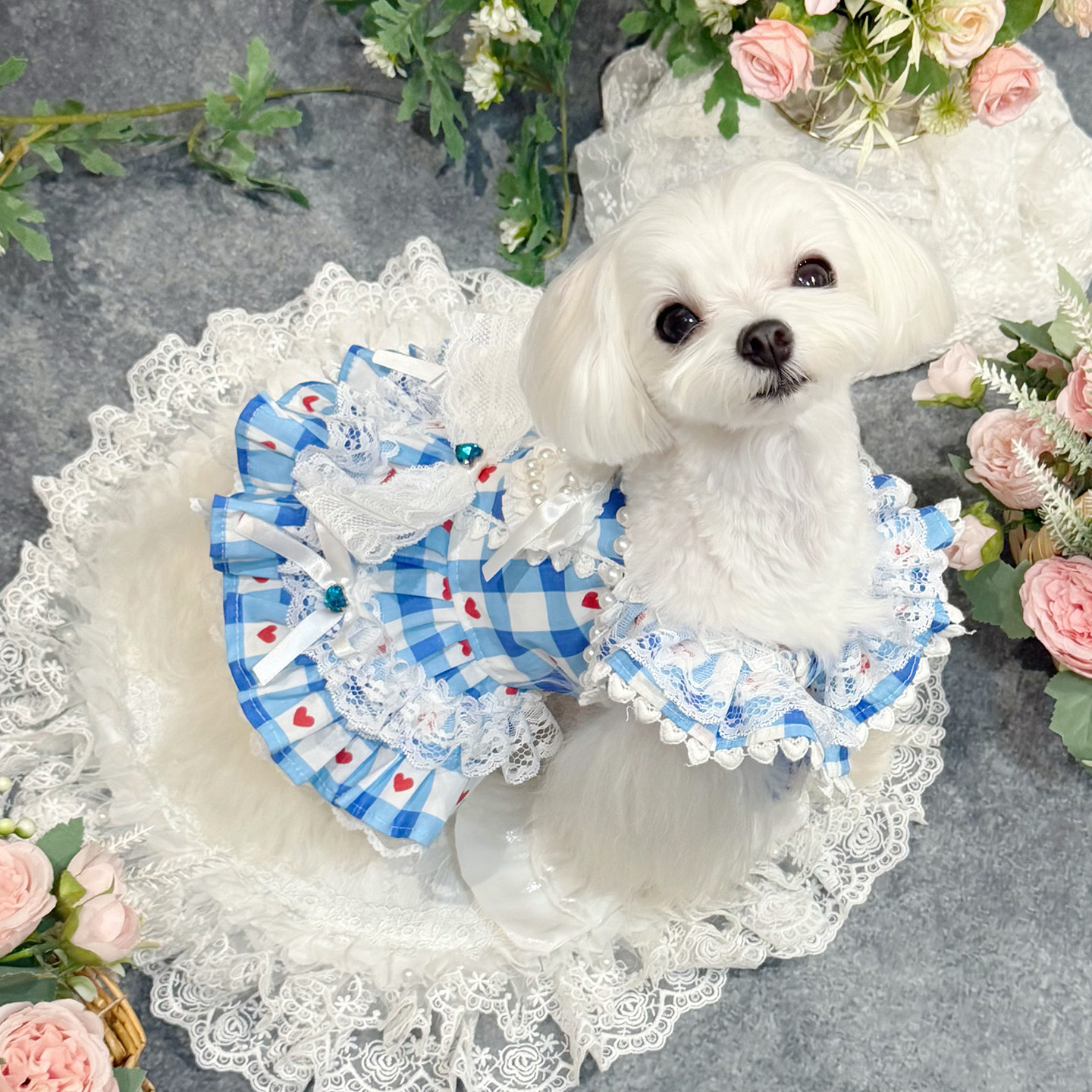 私宠手作蓝格子宠物春秋衣服贵宾巨贵小马比熊狗狗猫咪可爱连衣裙