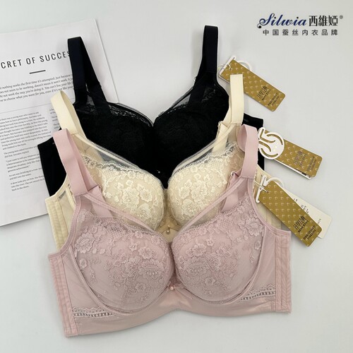 西维娅蚕丝贴合胸型薄模杯文胸