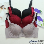 西维娅S621 10文胸秋冬新款 镍钛记忆软钢圈中摸杯桑蚕丝无痕内衣