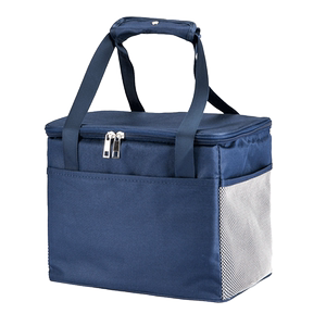 保温箱冷藏包便携式车载冰箱户外冰袋大容量家用保冷袋外卖箱子c1