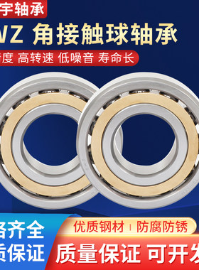 ZWZ瓦房店角接触球轴承机床主轴 7209 7210 7211 7212AC/P4 /P5