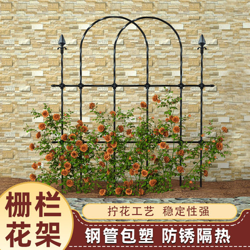苗之助爬藤栅栏月季花架