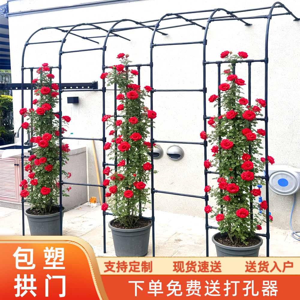 半边拱门花架蔷薇花爬藤架月季铁艺支架花园庭院架子铁线莲爬藤架,鲜花速递/花卉仿真/绿植园艺,花架,淘宝优惠券,粉丝福利购,淘宝优惠卷