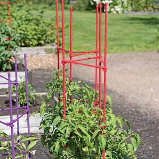 西红柿菜架子种菜阳台番茄植物架黄瓜花架种植茄子攀爬藤架支架