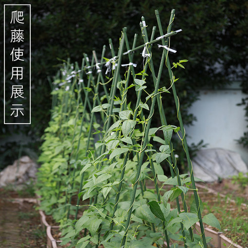 葡萄架阳台支撑杆子黄瓜爬藤包塑
