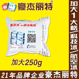 2大格生鲜食品冷藏保鲜保温冰包 科技冰 豪杰丽特航空冰袋加大号1