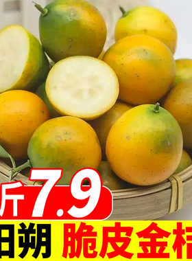 广西新鲜热带水果脆皮金桔纯甜当季大果5斤桂林阳朔冬季薄皮多汁