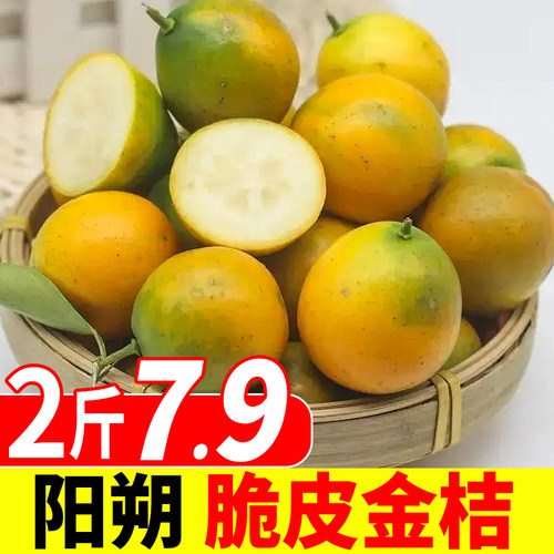 新鲜广西热带水果脆皮金桔