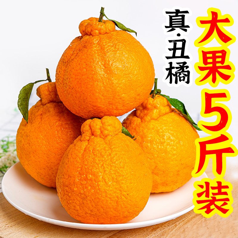 不知火丑橘5斤大果新鲜水果当季整箱包邮丑八怪粑粑蜜耙耙桔子柑