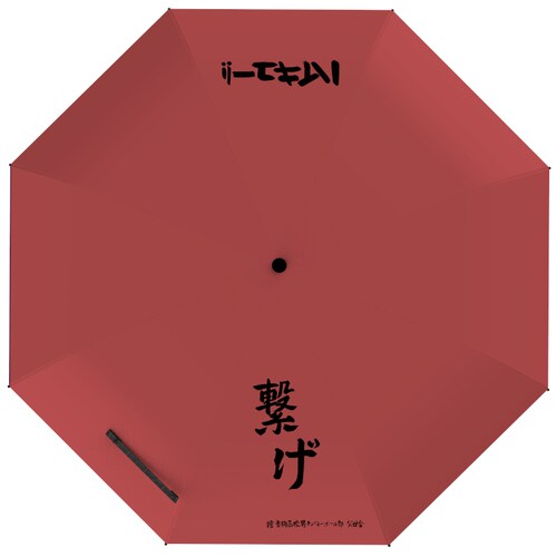 动漫排球少年晴雨伞音驹乌野青城稻荷崎次元防晒黑胶应援阳伞雨伞