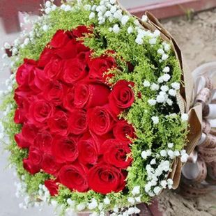 情人节广州上海福州 定制33朵红玫瑰鲜花送老婆女朋友同城配送520