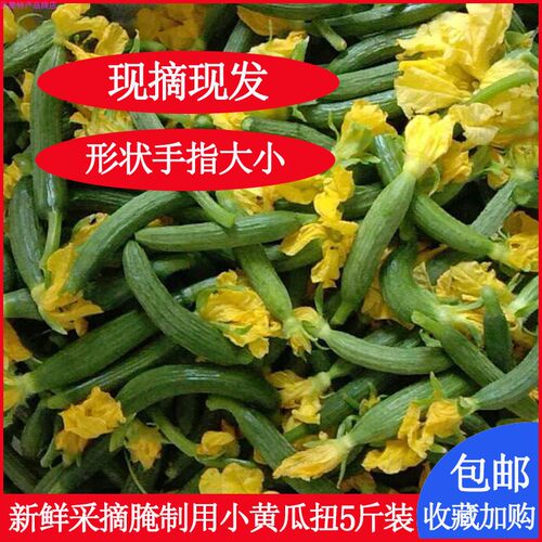 应季新鲜蔬菜 黄瓜花扭 腌制酱咸菜生吃现摘小脆黄瓜仔 青瓜妞5斤