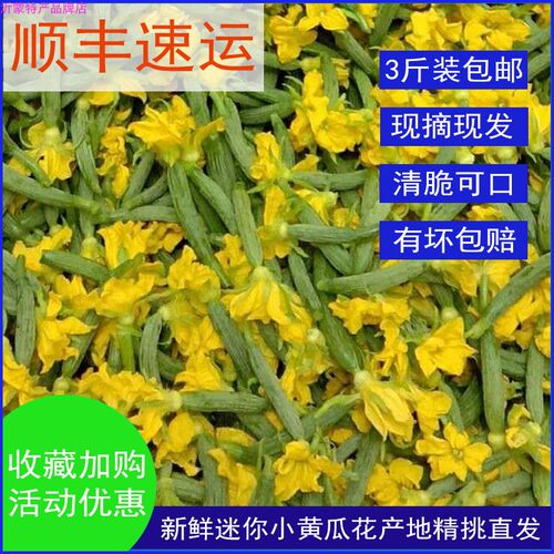 有机应季顶花脆嫩3斤包邮小黄瓜