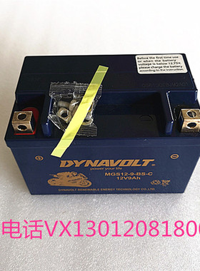 猛狮胶体摩托车电瓶12v9 GW250 黄龙300 600 贝纳利 YTX9-BS电池
