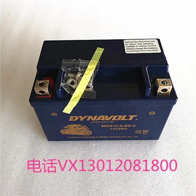 猛狮胶体摩托车电瓶12v9 GW250 黄龙300 600 贝纳利 YTX9-BS电池