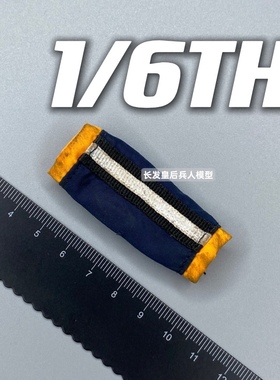 1/6寸 DEVIL TOYS 执行者 套袖