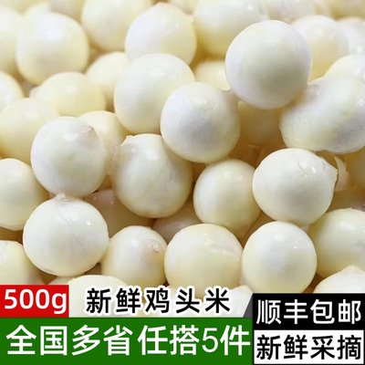 新鲜鸡头米500g 2022苏州特产冰冻鲜芡实非手剥非干货特级鸡米头