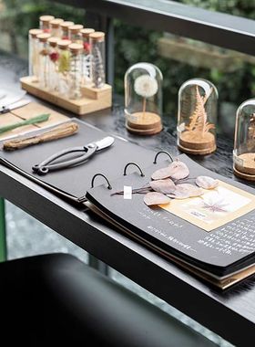 现代花艺阳台样板间书房桌面摆件饰品植物干花玻璃罩创意工具套装