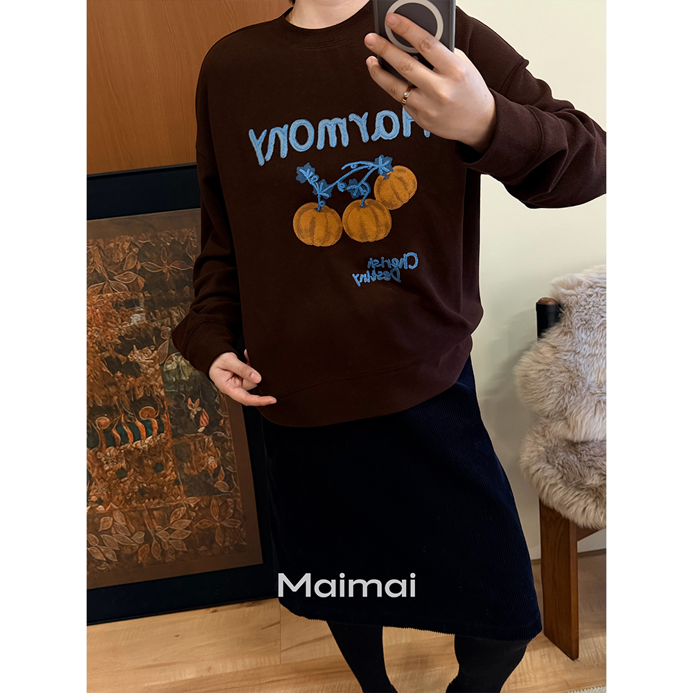 秋冬款百搭宽松慵懒设计感卫衣女