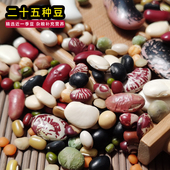 精选25种营养豆类五谷杂豆菜豆粗粮组合杂粮豆刀豆芸豆米饭蒸煮