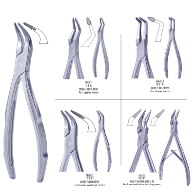 。拔牙根专用钳长沙天天拔牙钳不锈钢无镀层根尖钳带齿不打滑通用