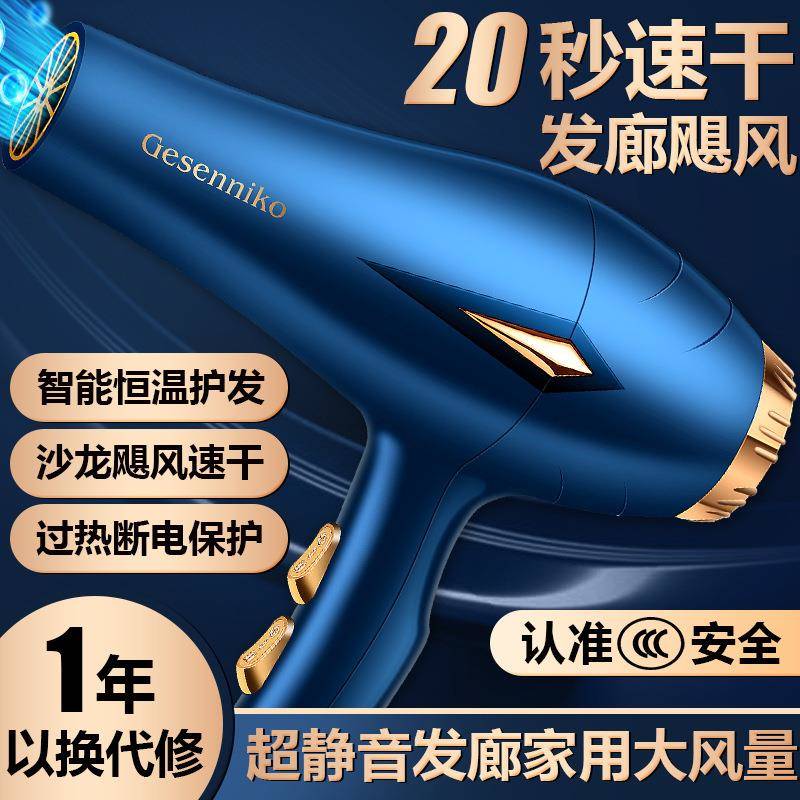 跨境新款电吹风机家用不伤发大风力功率理发店专用高速干吹风筒