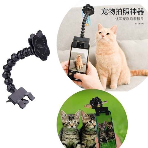 pet selfie stick宠物自拍杆神器猫狗用品狗狗宠物玩具手机自拍杆