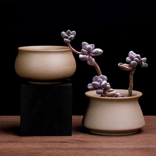 粗陶素烧多肉花盆大口径创意花盆文竹绿植桌面盆栽透气特价 清仓