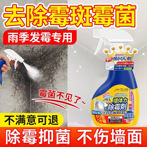 墙体除霉剂去霉斑霉菌清