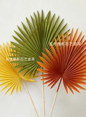 软胶金雨叶粽叶蒲扇叶绿色植物叶
