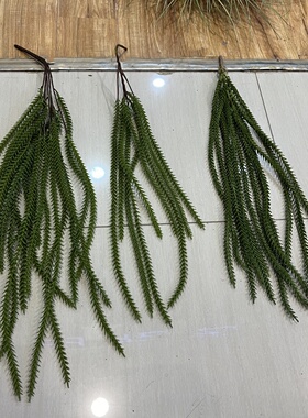 丝苇线条设计造景仿真绿植装饰屋顶装饰垂吊植物多肉蕨绿色水草