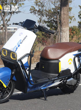 金箭电动车金钢750PLUS高速电动两轮踏板智能电动车72v52a成人tcs