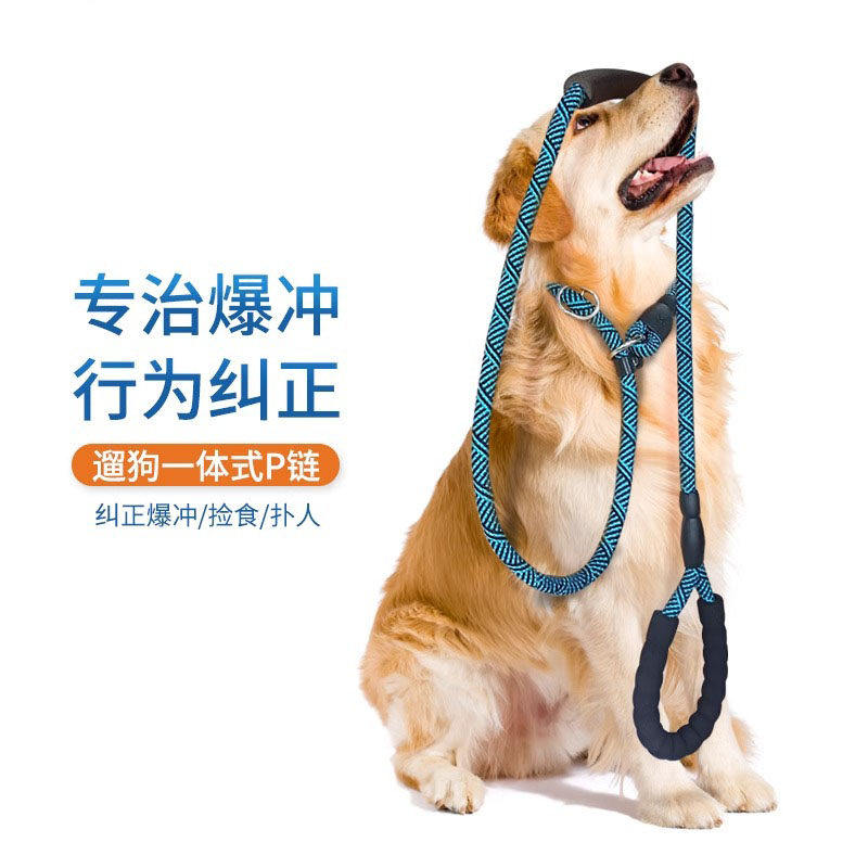 德国狗绳p链防爆冲遛狗绳拉布拉多狗炼p绳中大小型犬遛狗狗牵引绳