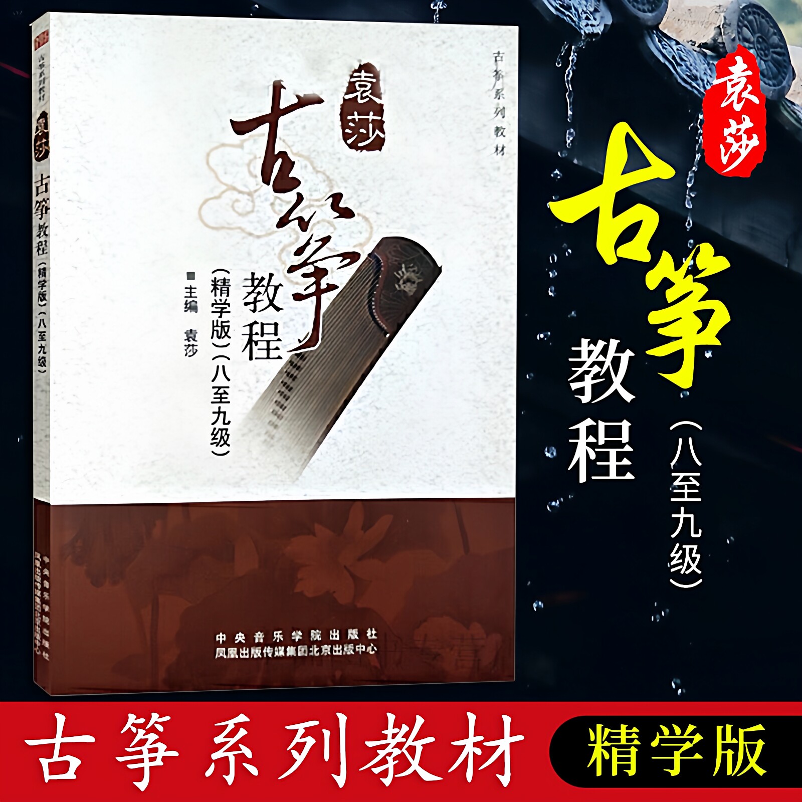 袁莎古筝教程8-9级 精学版袁莎古筝古筝初学入门基础自学练习教材