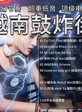 越南鼓DJ音乐U盘炸街串烧咚鼓DJ舞曲酒吧重低音嗨曲DJ汽车电子U盘