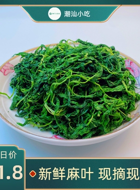 2025脱水麻叶菜潮汕 潮阳特产新鲜蔬菜半成品 精选新鲜麻叶菜