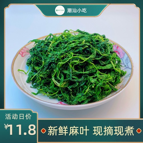 2026脱水麻叶菜潮汕 潮阳特产新鲜蔬菜半成品 精选新鲜麻叶菜
