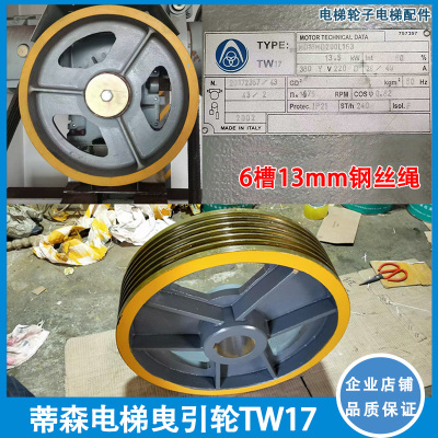 主机曳引轮TW17 /6槽 13mm永磁同步曳引机轮配件适用于蒂森电梯