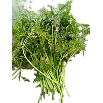 都江堰农家菜园新鲜时令蔬菜优质鲜嫩川芎叶家菜菜川芎苗四件包邮