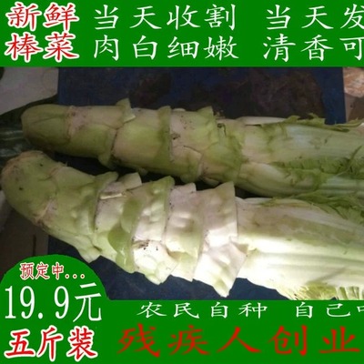 都江堰农家时令蔬菜新鲜青菜棒棒菜棒青笋芥菜青菜头一件五斤包邮