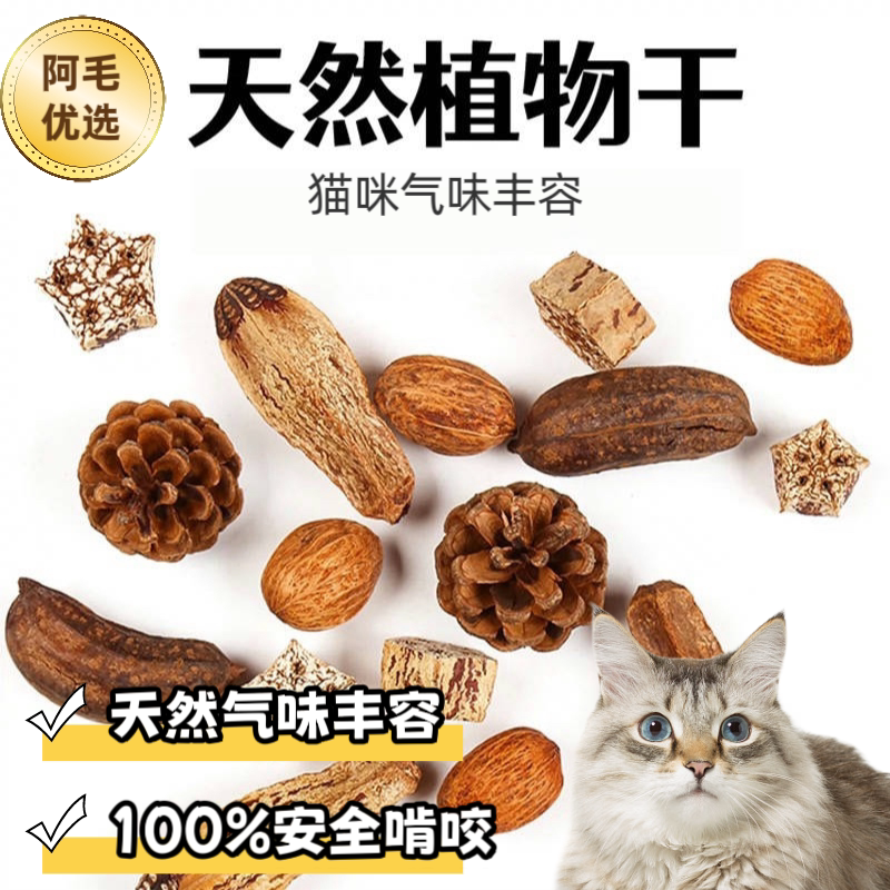 猫咪气味丰容天然杨桃果干木芒果松果猫咪啃咬玩具逗猫猫咪自嗨