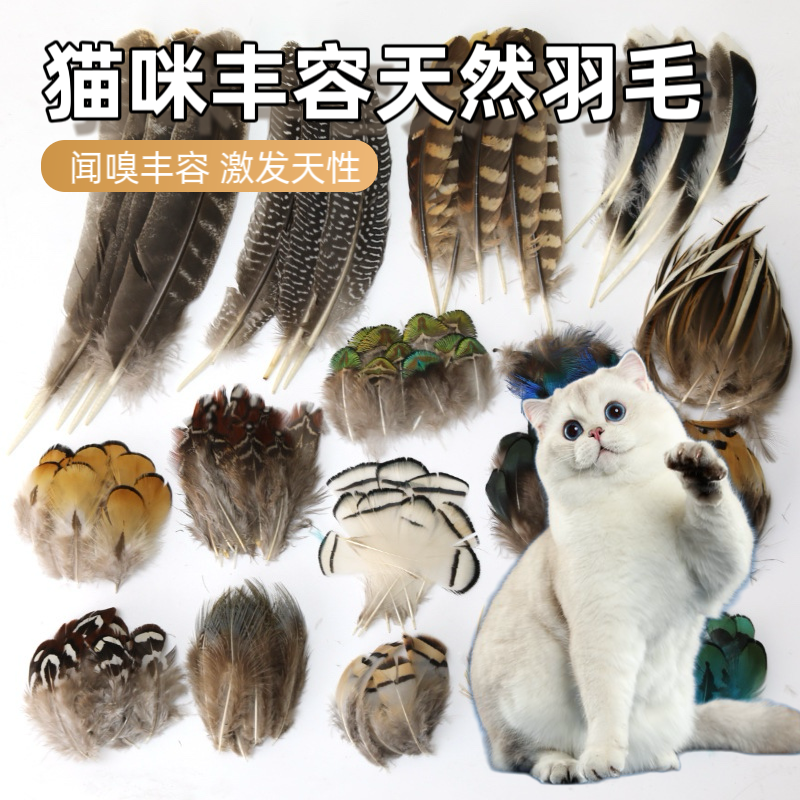 猫咪丰容天然羽毛野鸡毛鸭毛孔雀毛逗猫猫咪闻嗅丰容猫咪玩具用品