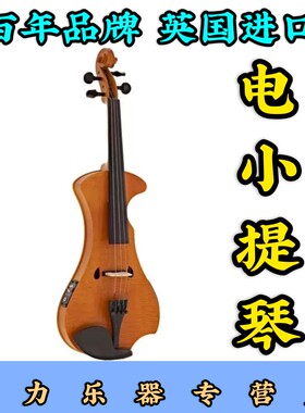 Hidersine英国专业演奏蓝牙伴奏电小提琴考级婚庆典专用电声静音