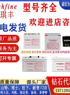 Techfine泰琪丰蓄电池UD12V-4AH12V7AH9AH17AH24AH38AH65AH100AH