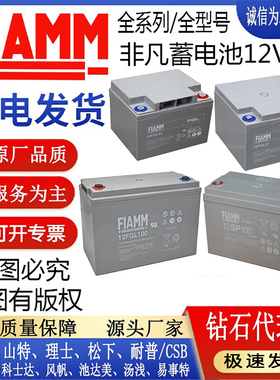 FIAMM非凡12V蓄电池12FGHL48/12FGL27/12FGL42/12FGL100/12SP26AH