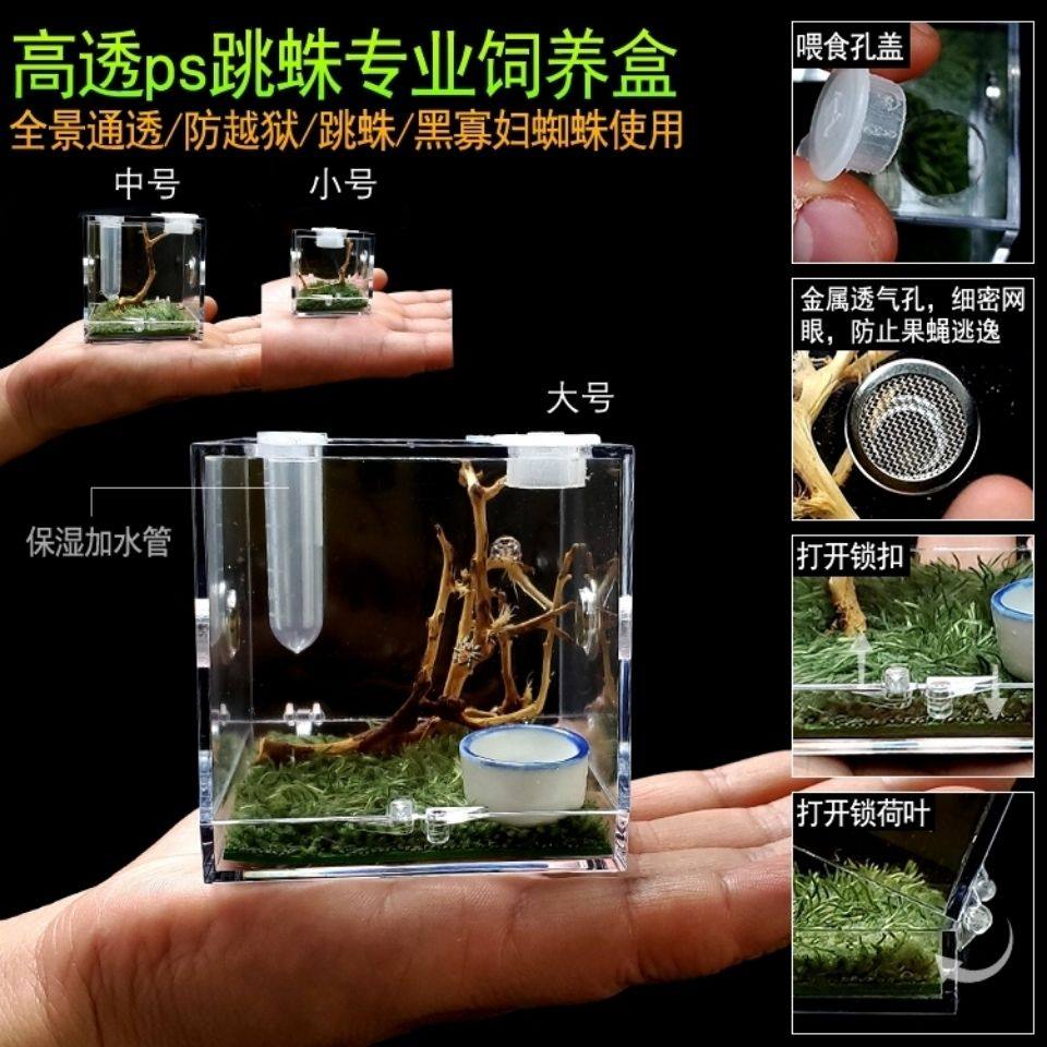 跳蛛饲养盒爬虫盒蛉竹蜘蛛鸣虫生态盒黄蛉蝈蝈塑料箱马蛉螳螂高透,宠物/宠物食品及用品,蜘蛛,淘宝优惠券,粉丝福利购,淘宝优惠卷